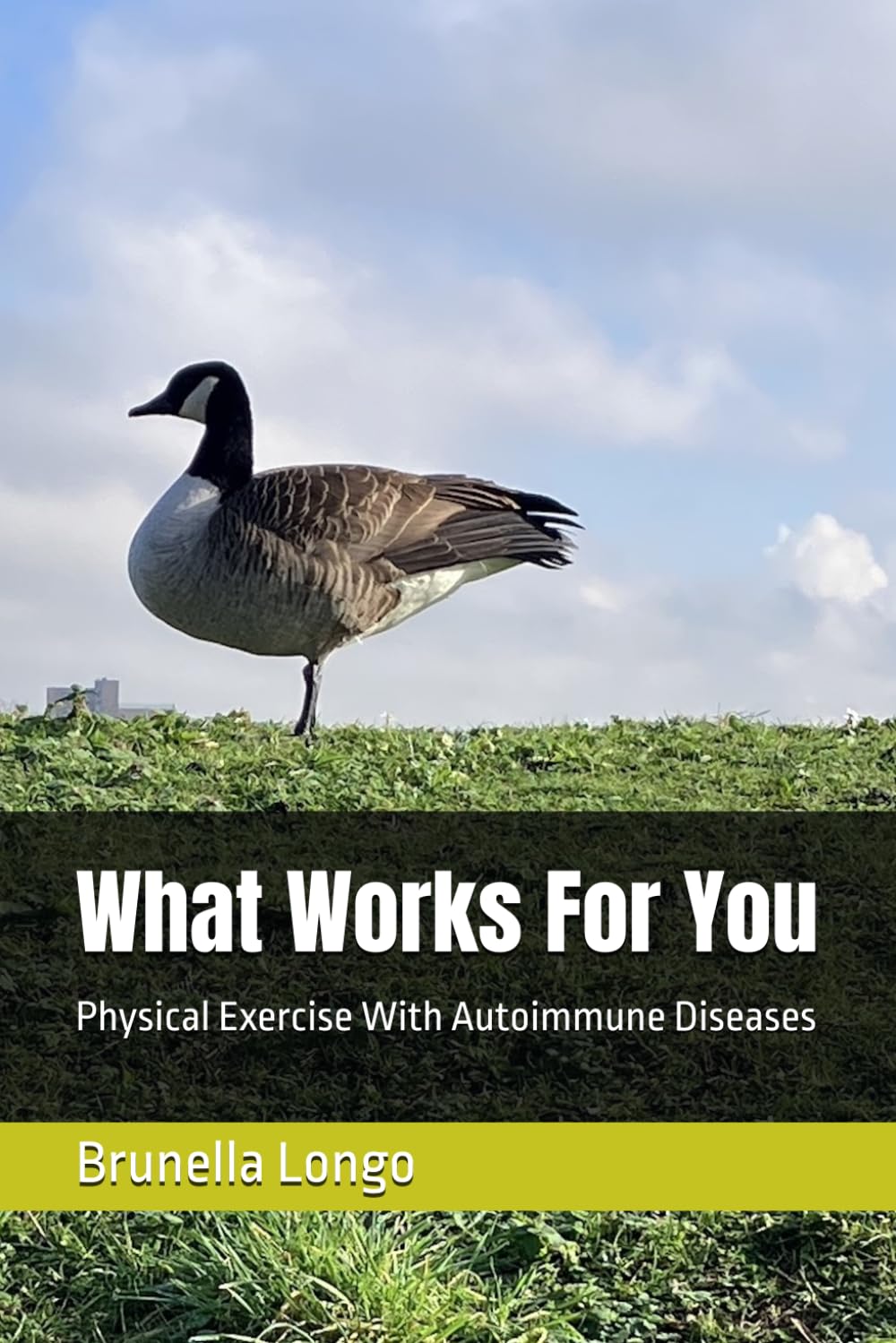 What Works For You: Physical Exercise With Autoimmune Diseases: 1