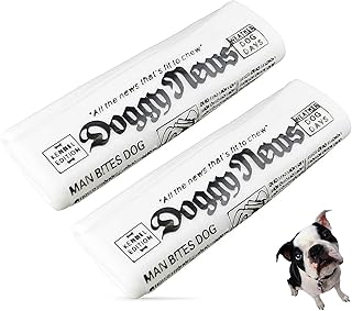 GabeFish 2PCS Funny Dog Chew Toys, Newspaper Dog Toy, 6.2 x 2.1-in (16 x 6.5 cm), Durable Squeak Toy for Dogs