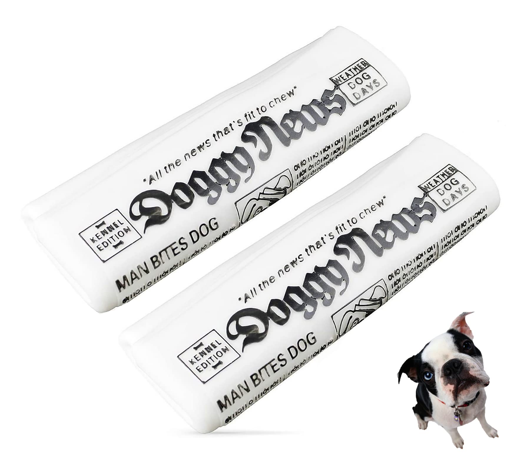 Jouet couineur pour chien GabeFish lot de 2 journaux à mâcher 16x6.5cm