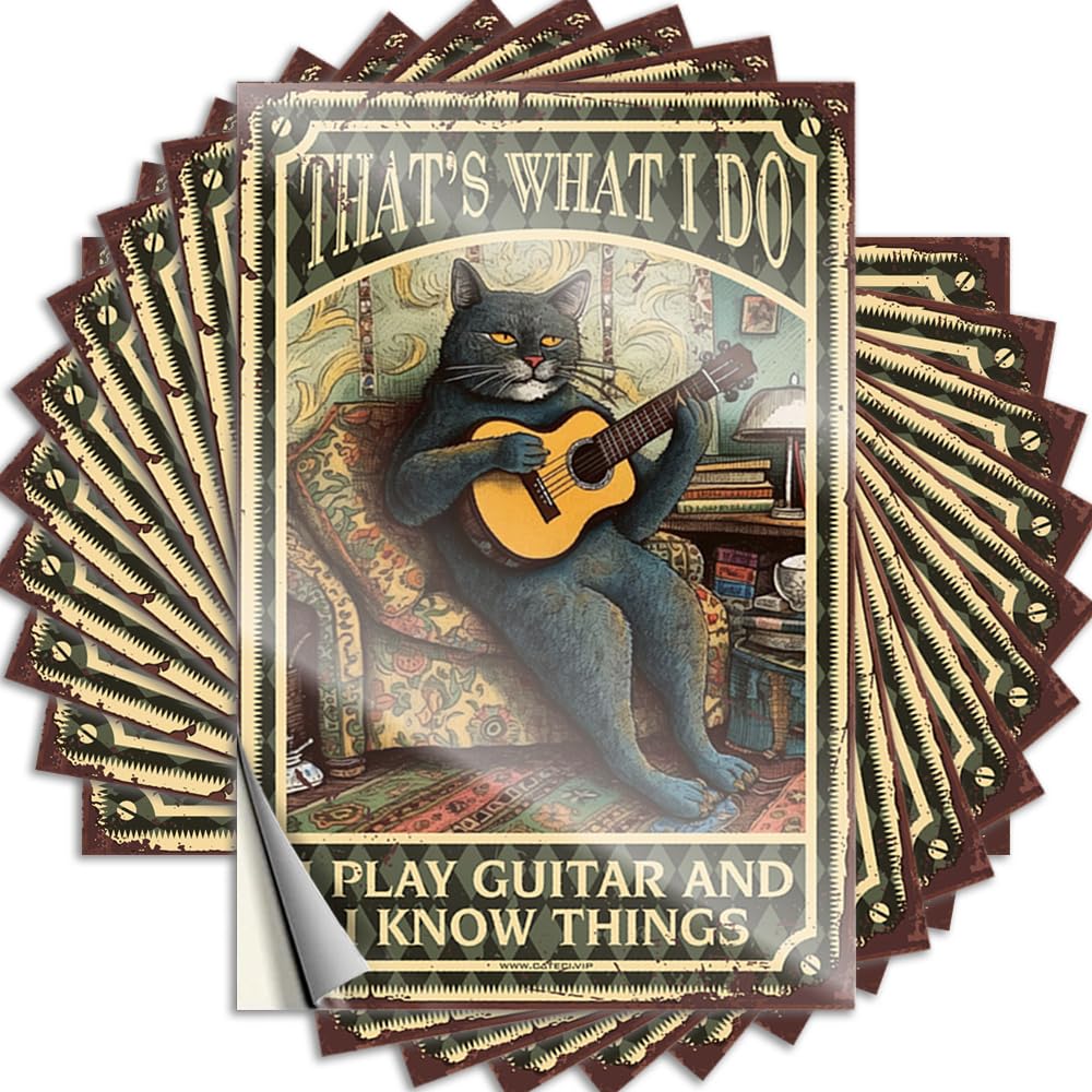 Thats What I Do I Play Guitar and I Know Things Retro Home Decor Stone DIY | Coastal Saying Hat Removable Vinyl Sticker Decal(12X18CM)