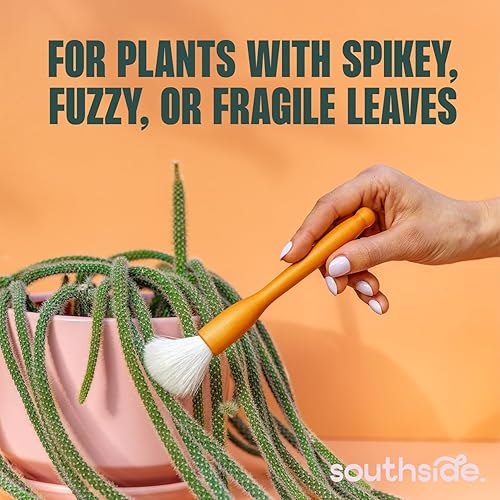 Miniatura 2 de Southside - Cepillos de limpieza para plantas suculentas y cactus, asas de madera con cerdas suaves de pelo de cabra, herramientas de limpieza de