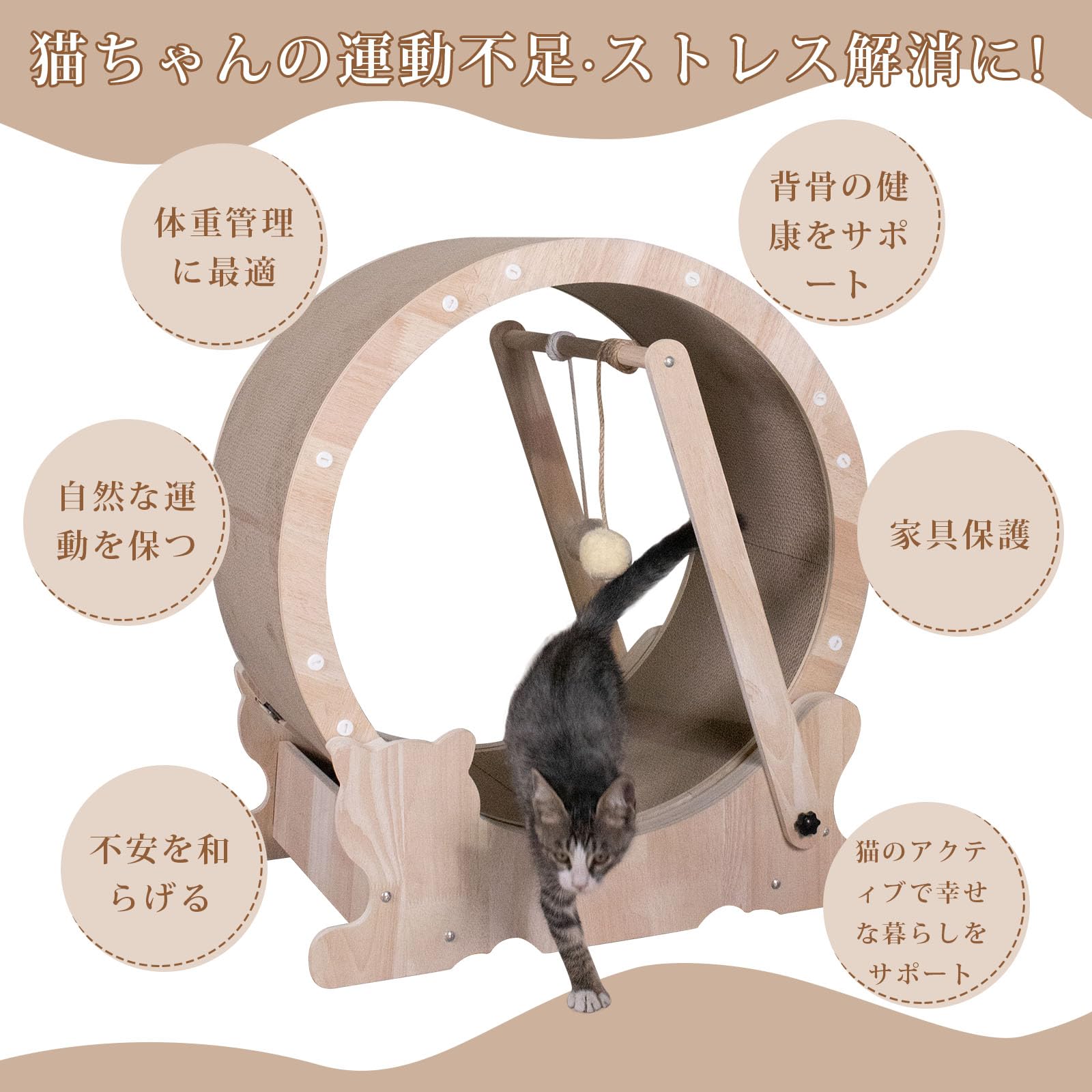 キャットホイール 猫用回し車 ランニングホイール 自走式 木製　運動不足解消 Amazon | Meowtopia キャットホイール 猫用回し車 ランニングホイール