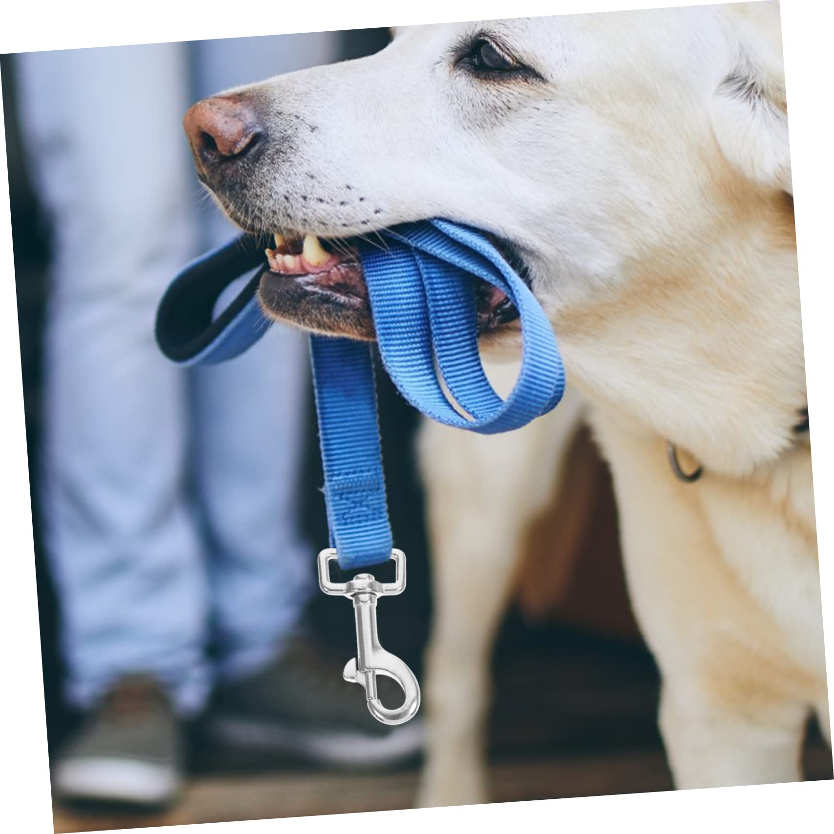 Hohopeti 2pcs Heavy Duty Stainless Steel Swivel Snap Hooks Trigger Clips for Dog Leash Bolt Snap Clips for Webbing and Outdoor Use Rotation to Prevent Tangles