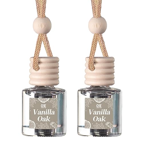 C&E Craft Co Hanging Car Air Freshener Diffuser 2 Pack,