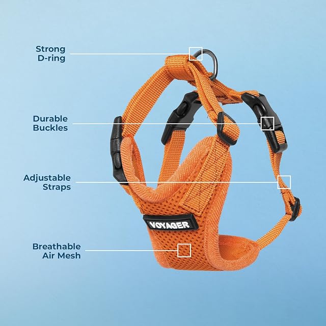 Foto 4 de 8 de Best Pet Supplies Voyager Step-in Lock