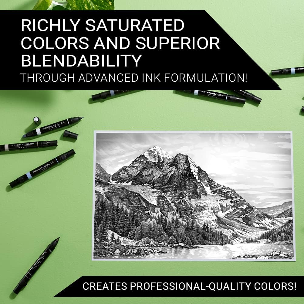 Prismacolor Premier Dual-Ended Art Markers, Chisel Tip and Fine Tip, Cool Grey Colors, 12 Count : Artists Markers : Arts, Crafts & Sewing