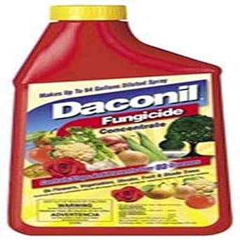 Daconil Fungicide Concentrate 16 oz
