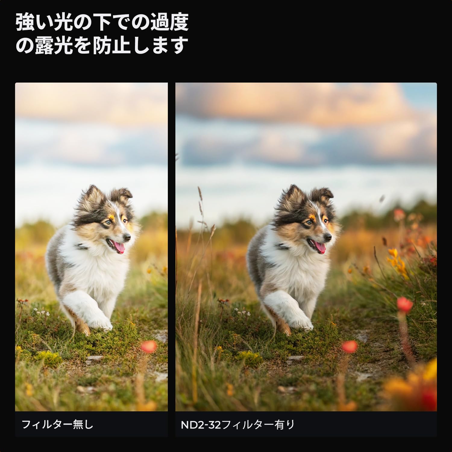 Amazon | K&F CONCEPT 55mm 可変NDフィルター ND2-ND32 X状ムラなし