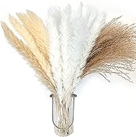 100 stycken 40 cm naturligt pampasgräs torkad dekoration guld vardagsrum pampasgräs dekoration liten vit beige...