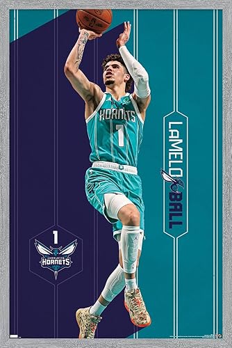 Miniatura 13 de Trends International NBA Charlotte Hornets - Póster de pared LaMelo Ball 23, 22.4 pulgadas de largo x 14.7 W, versión premium sin marco