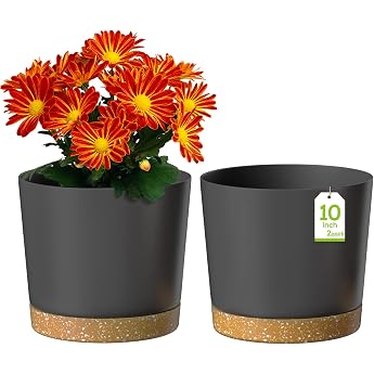 ZMTECH Flower Pot 25 cm Diameter Planters for Indoor Plants Plastic Flower Pots with Saucer and Drain Holes Round Plant Pots for Indoor Outdoor Plants Set of 2 Dark Gray