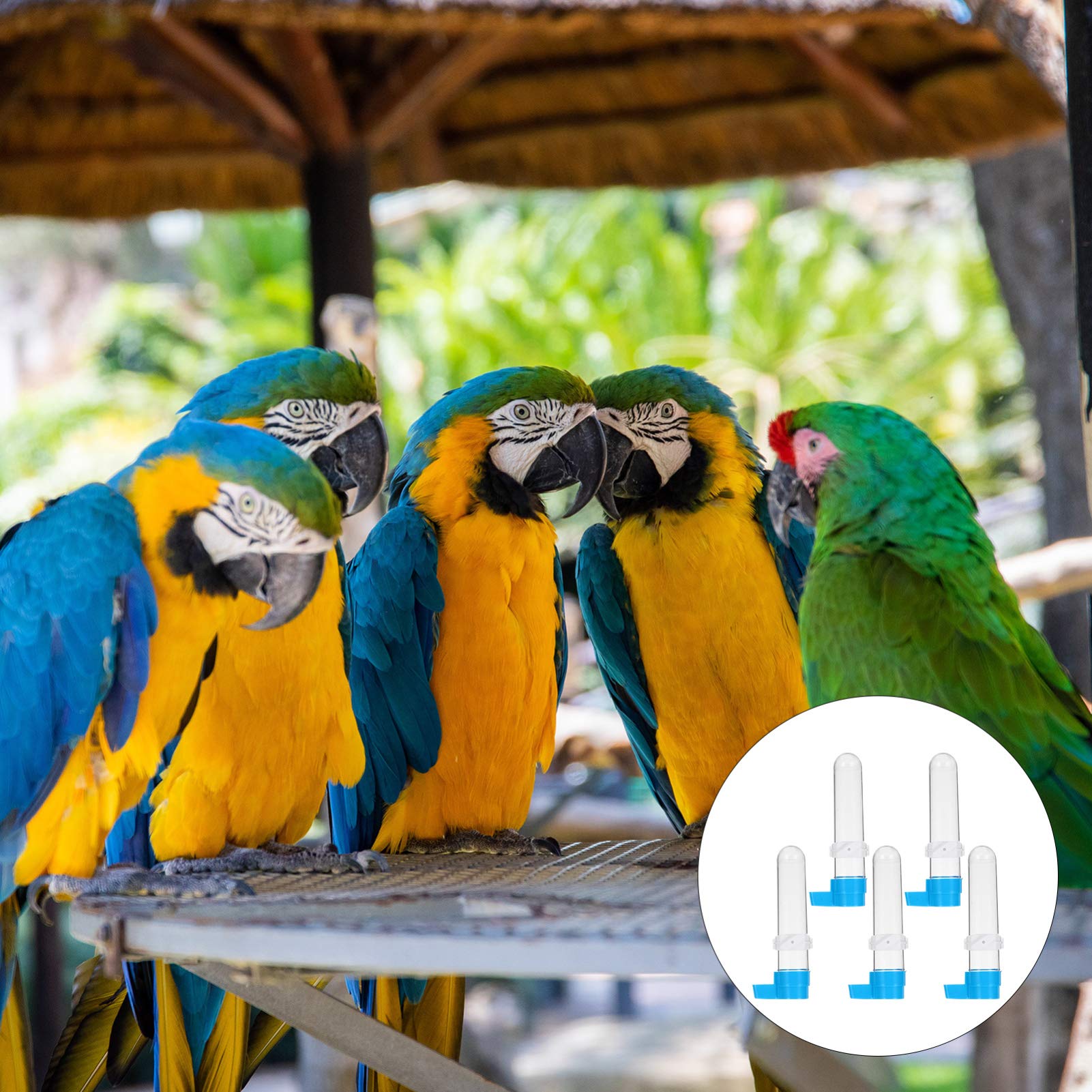 ABOOFAN 10piezas Bebedero Automático para Pájaros Botella De Agua para Diseño De Plástico Transparente y Base Azul para Jaulas De Aves