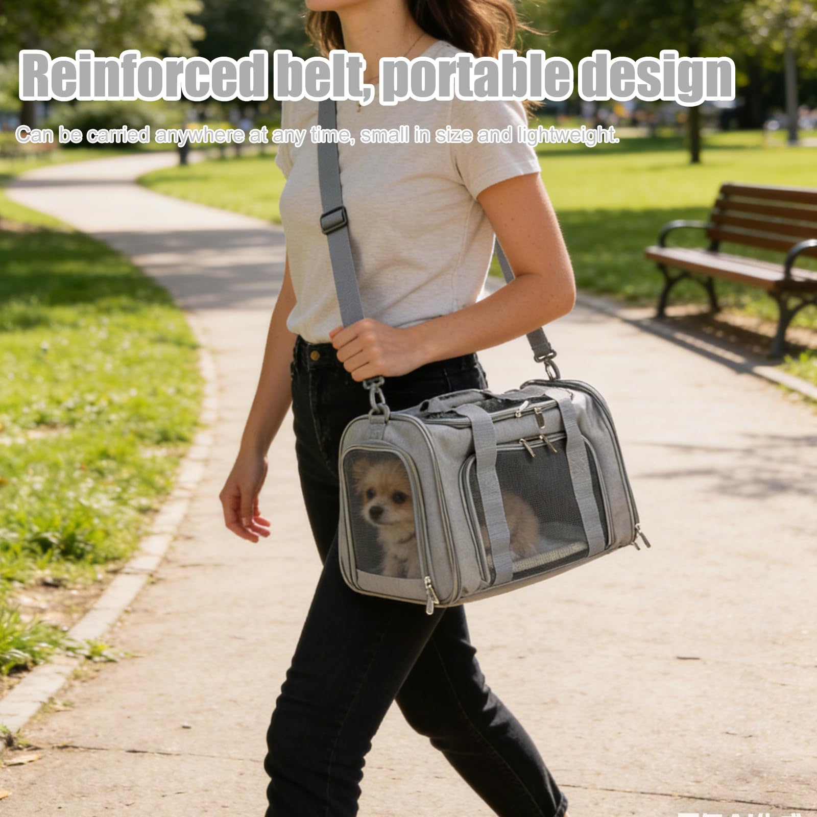 Borsa per il trasporto del gatto: pieghevole e traspirante, borsa per il trasporto di cani, comoda per gatti fino a 5 kg, viaggi e gite 45 × 30 × 30 cm
