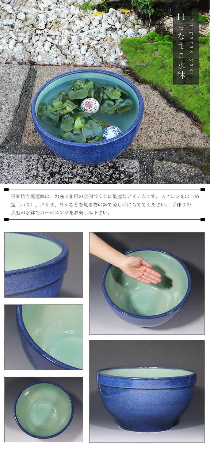 Amazon.co.jp: 信楽焼 睡蓮鉢【11号 ナマコ水鉢 su-0275】すいれん鉢  