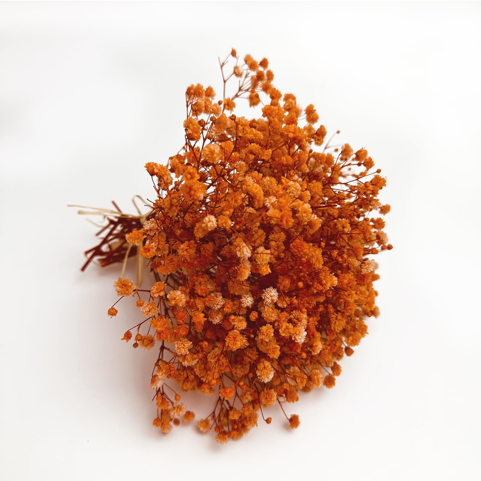 6Pcs Preserved Baby's Breath, Mini Size Bouquets 100% Natrual Gypsophila Long Lasting Flowers for Vase Home Decoration Photo Props Parties Weddings Card Making Crafts Flora (Orange)