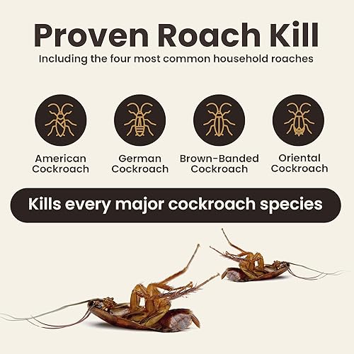 Miniatura 3 de Cebo de gel para cucarachas  Solución perfecta de control de cucarachas para hogares, empresas en todos los espacios, fórmula de larga duración,