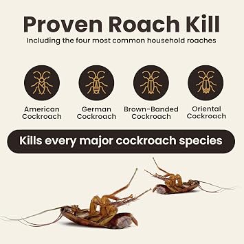 Roach Gel Bait - 4-Pack Syringes for Indoor Infestation, for Homes & Businesses, Cockroach Control, Efficient Roach and Ant Killer Indoors