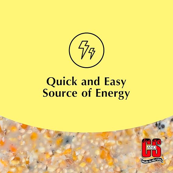 C&S High Energy Suet Treat, Suet Cakes for Wild Birds, Pack of 6