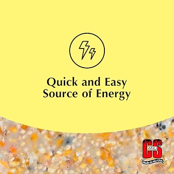 C&S High Energy Suet Treat, Suet Cakes for Wild Birds, Pack of 6
