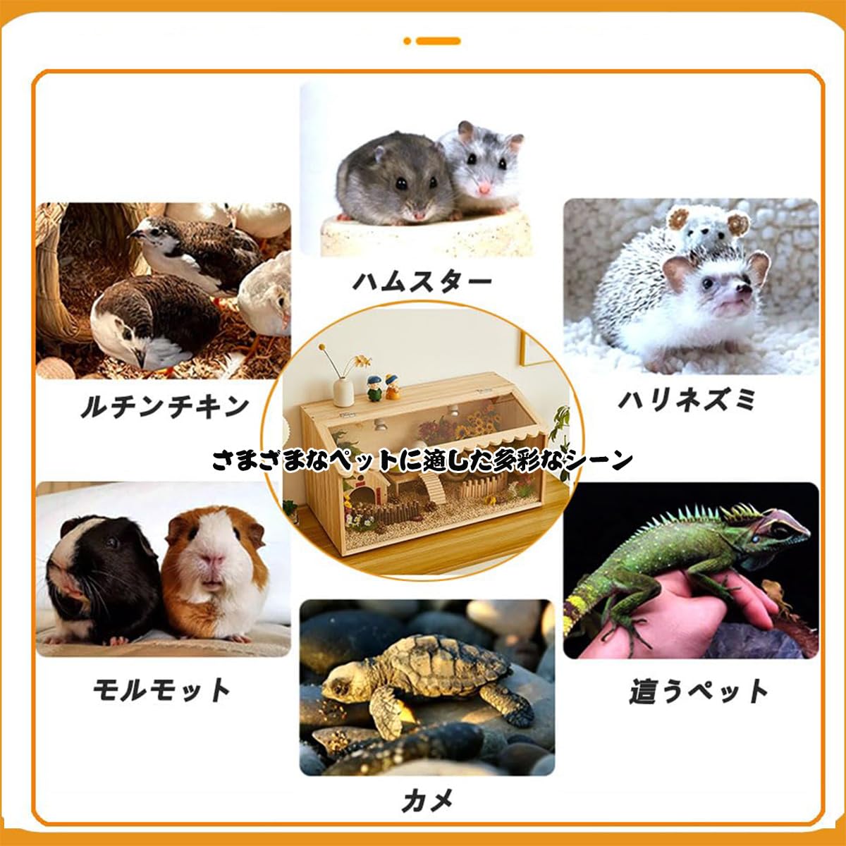 Amazon | Wpunwenハムスター ケージ 木製 爬虫類 ケージ 組み立てが