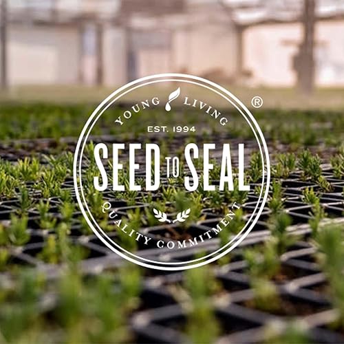 Vista 207 de Aceite esencial de franquincienso, 0.17 onzas líquidas, de Young Living Essential Oils