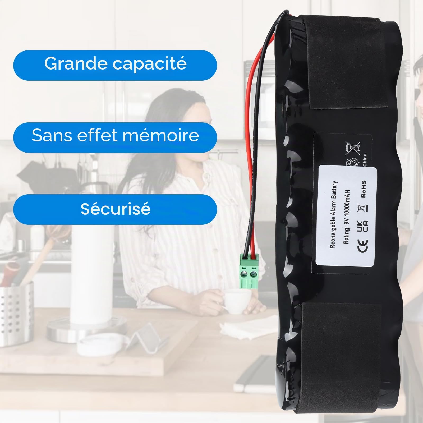 Pack Batterie BPX Compatible avec Sirène Extérieure Delta Dore SEFRX, Sirène SEFRX 6416204, Compatible avec Les Sirènes Tyxal SIRX, SERX, SEFX, SEFRX, Syderal SE