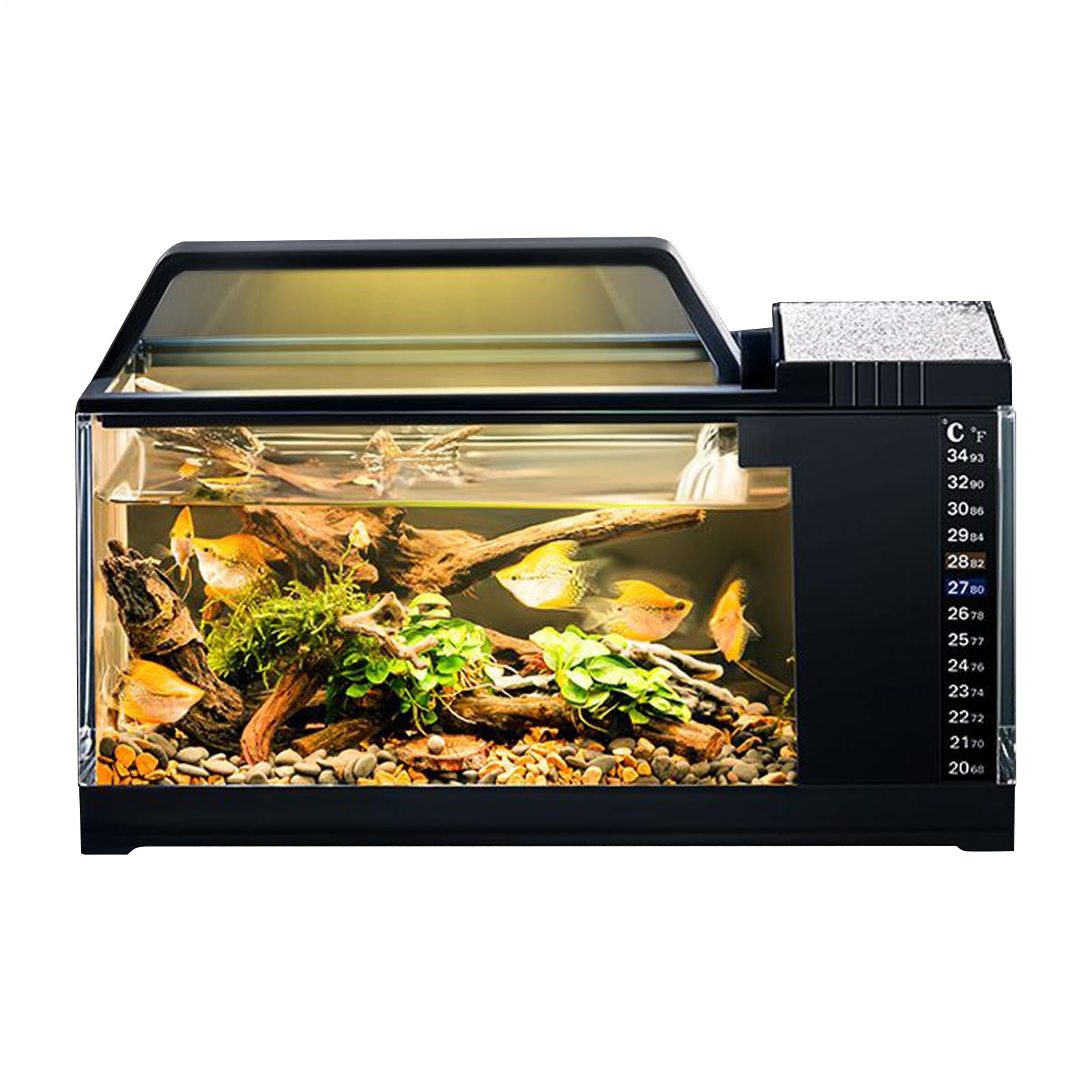 Moreeulsi Fish Tank Kit - Aquarium Fish Tank with Filter and Light - Smart Filtration System Temperature Monitoring Kit for Betta Guppy Shrimp Jellyfish, Home Decorations