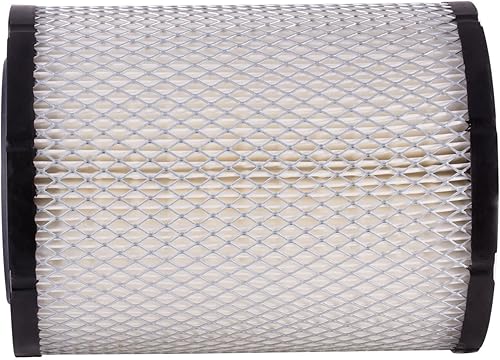 Miniatura 1 de ECOGARD Filtro de aire de motor XA5433 de alta calidad para Chevrolet Trailblazer 2002-2009, GMC Envoy 2002-2009, Chevrolet Trailblazer EXT