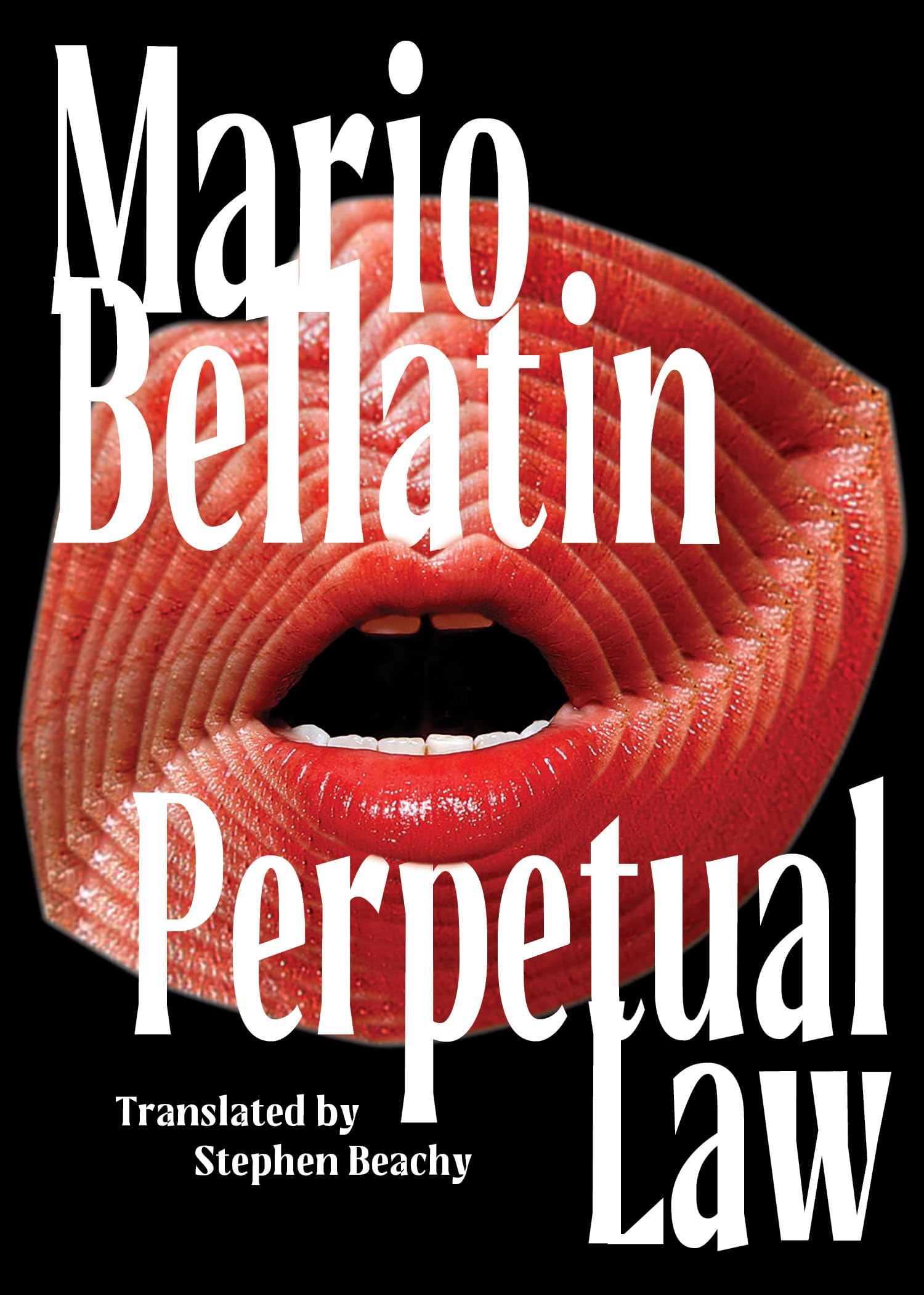 Perpetual Law by Mario Bellatin PAPERBACK 9781646053384