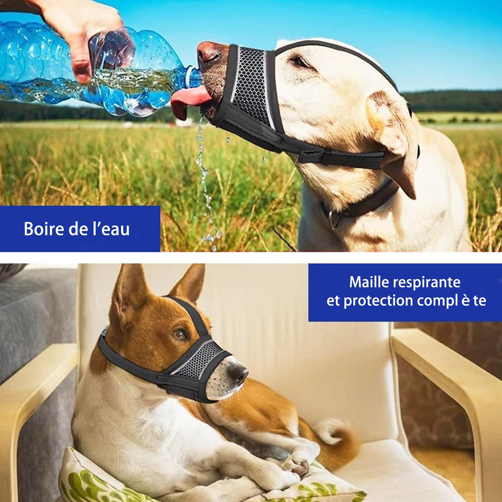 Muselière Chien Réglable en Nylon Reflectif, Soft et Confortable avec Système d'ajustement pour Petits Chiens, Idéale pour Promenades et Entraînement
