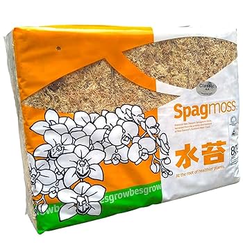 乾燥水苔　ニュージーランド産　AAAAグレード　80L 1kg 送料無料 ニュージーランド産 最高級AAAAグレード乾燥水苔80L(1kg)