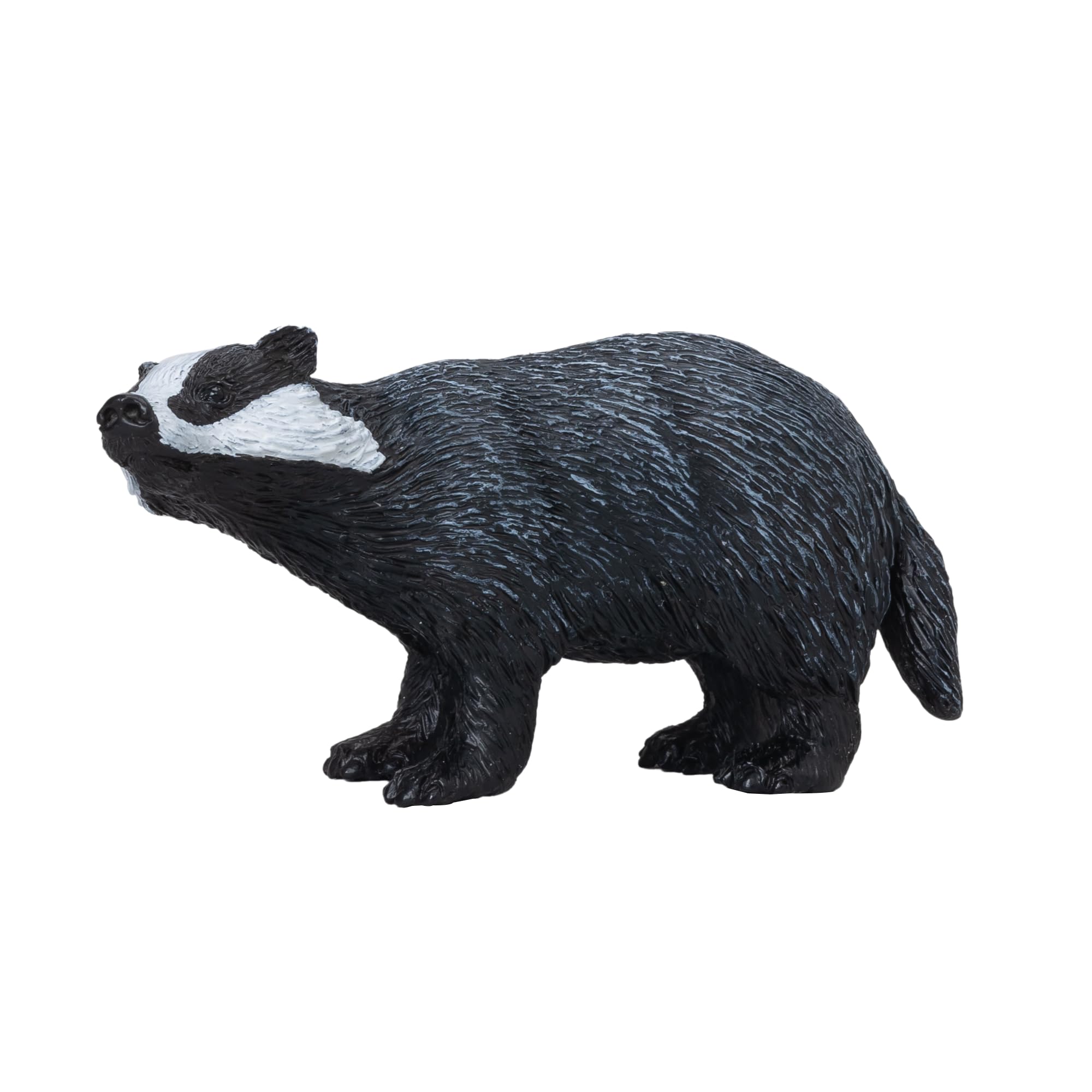 MOJO - Badger, Black Or Grey, 1