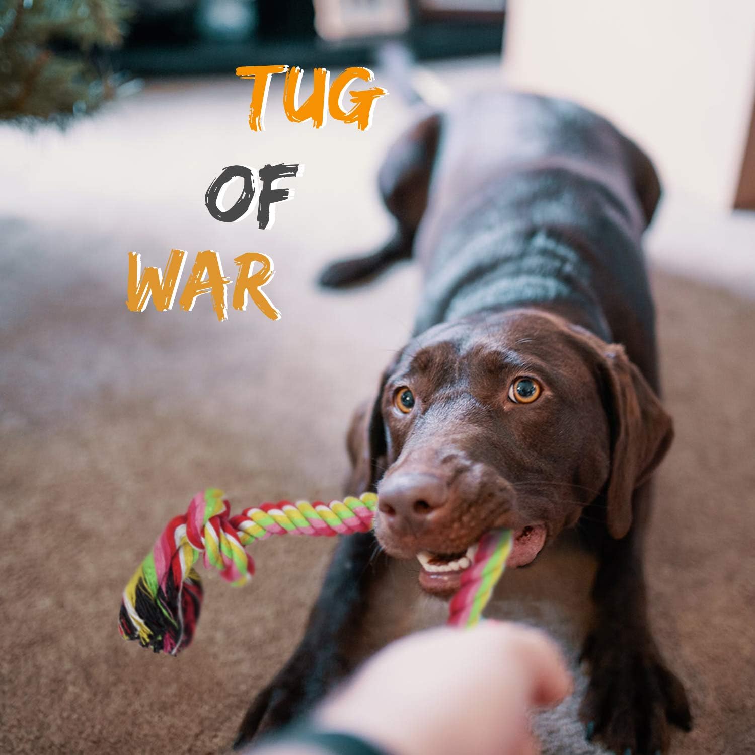 Dog Rope Toy for Aggressive Chewers Medium Bleed Small Dogs Indestructible Toys Chew Rope Ball Teething Pitbull Toys Puppies Outdoor Dog Toys