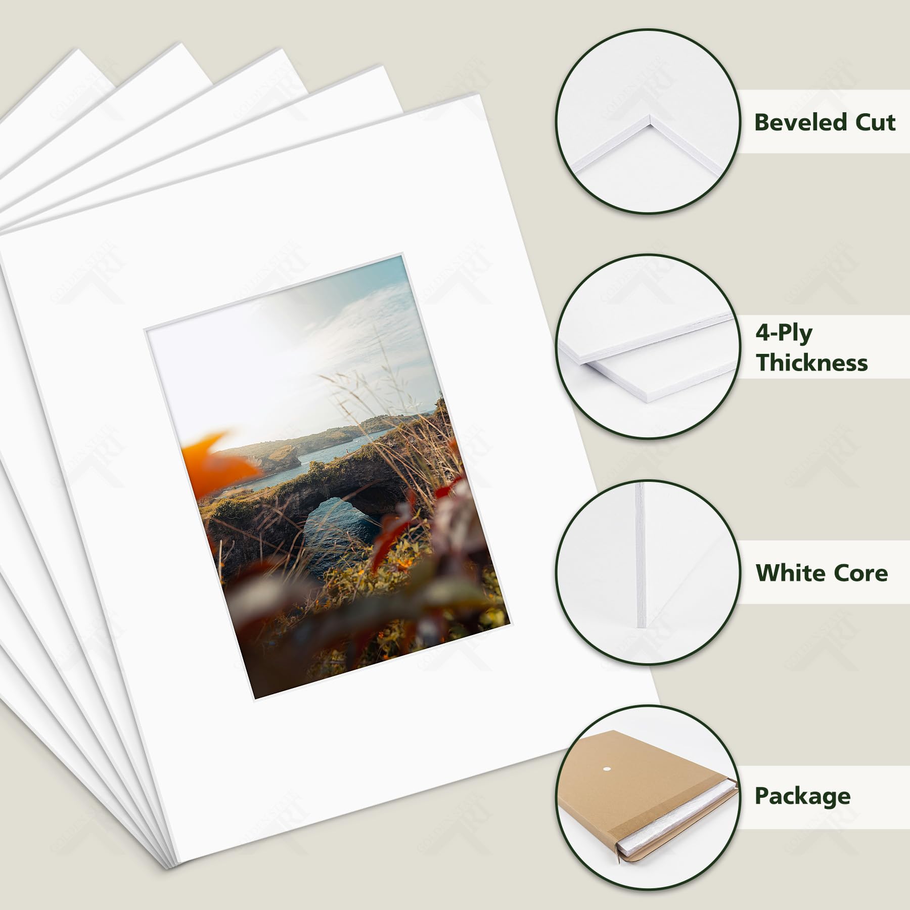 Golden State Art, Lot de 10 passe-partout prédécoupés de 21,6 x 27,9 cm, découpe biseautée 11,4 x 16,5 cm, ouverture pour photos de 12,7 x 17,8 cm, blanc