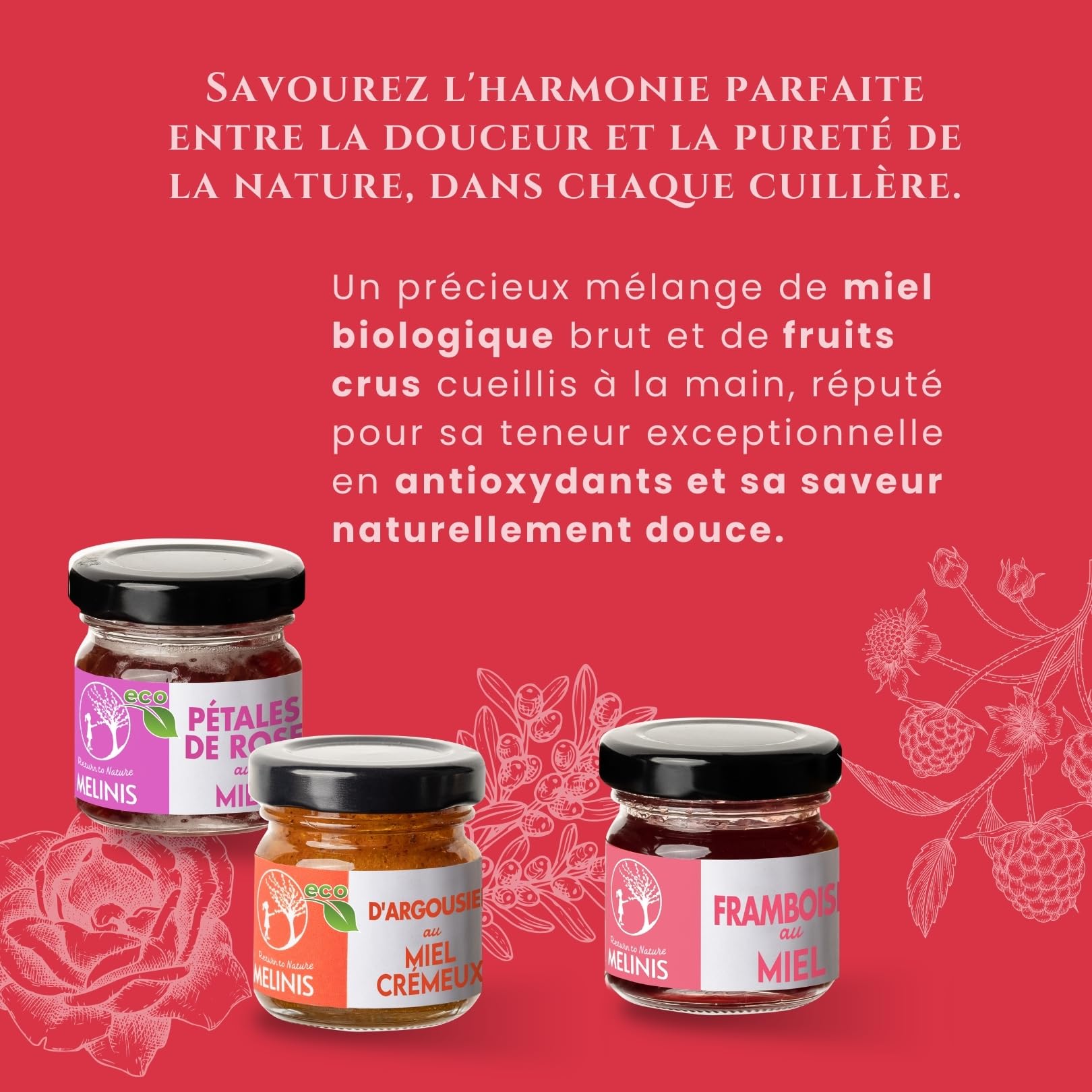 Coffret 3 × 40 g Crèmes de Miel Bio – Acacia à l’Argousier, à la Framboise et à la Rose – Sans Sucre Ajouté – Pour Petit-Déjeuner, Desserts ou Cadeau – Melinis