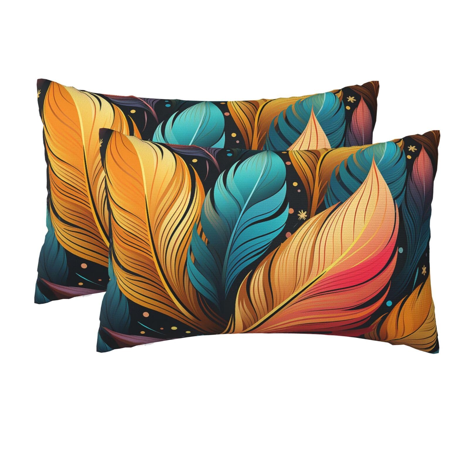 2 Pack Queen Size Pillow Cases for Hair and Skin Soft Breathable Pillow Case Covers with Hidden Zipper Colorful Feathers Pillowcase 20x30 Inches Pillow Cover for Sleeping Gift