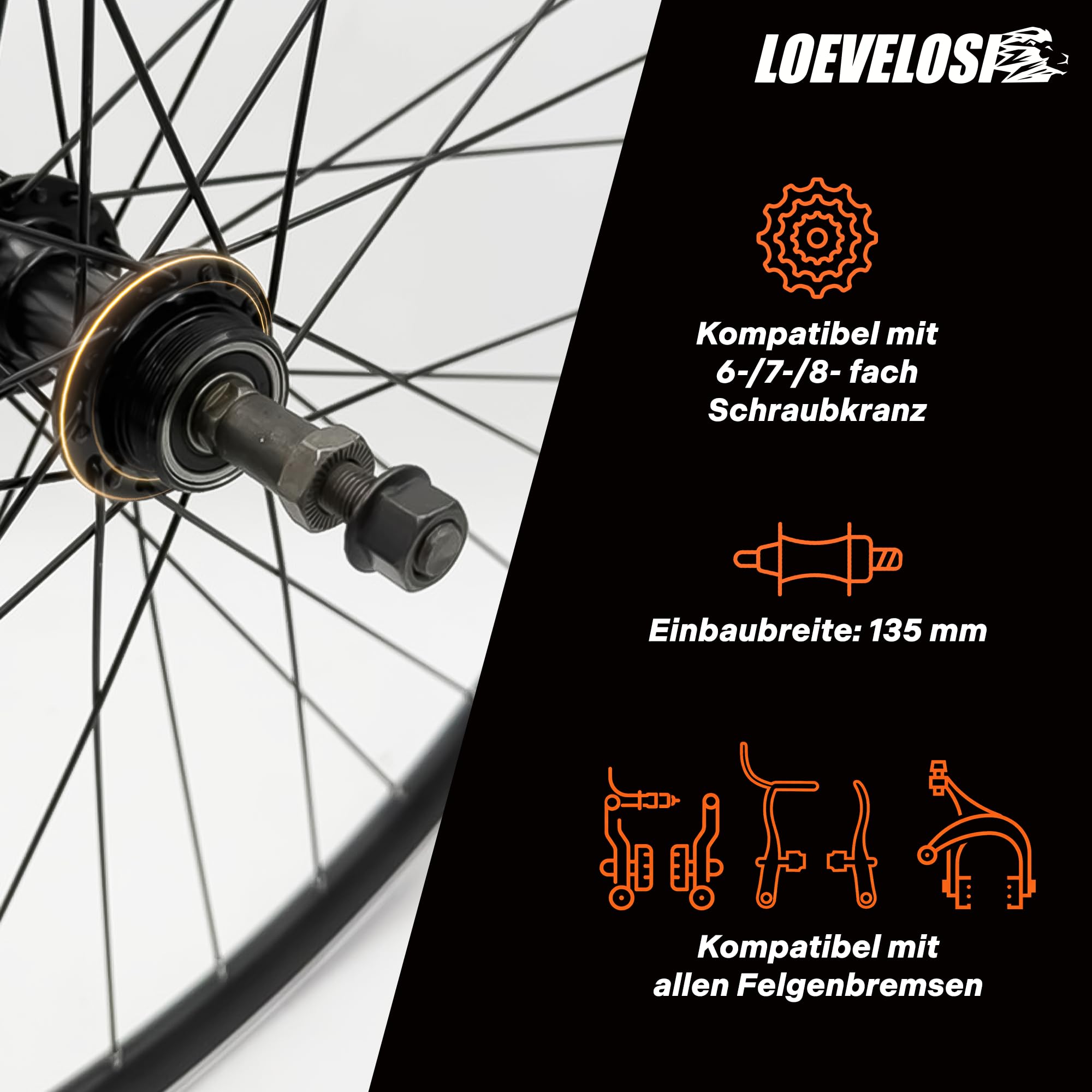 Roue arrière de VTT 26 pouces - Couronne à vis 6/7/8 vitesses - Axe complet de 135 mm - Frein sur jante V-Brake - Jante creuse en aluminium - 36 rayons - Noir - Roue arrière pour VTT