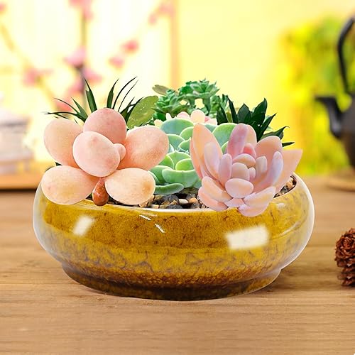 Miniatura 4 de Proceso de transformación de horno de 7.3 pulgadas, maceta redonda de cerámica con orificio de drenaje, maceta de paisaje en maceta, decoración de