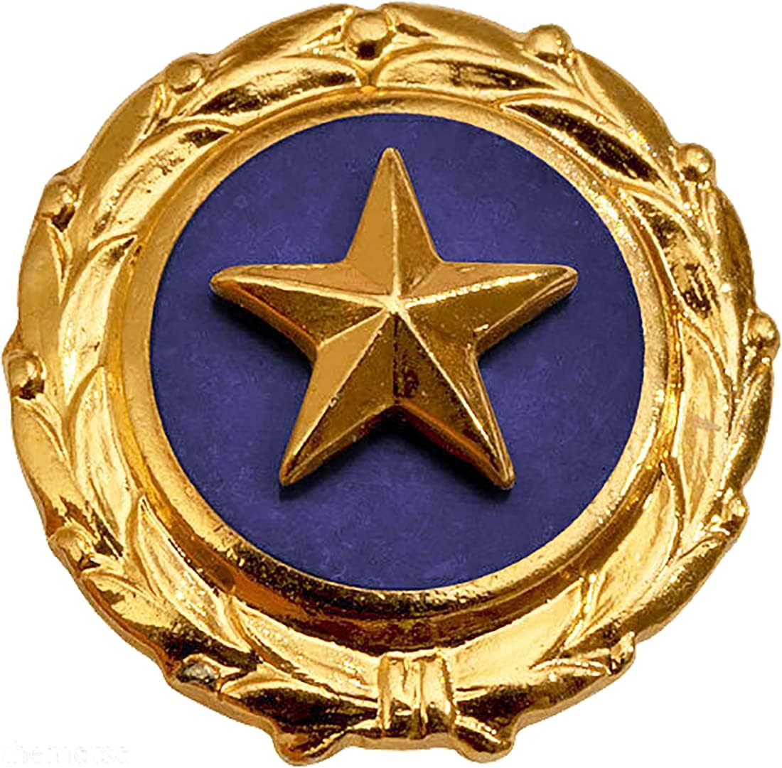 Gold Star Family Next of Kin Deceased Lapel Pin