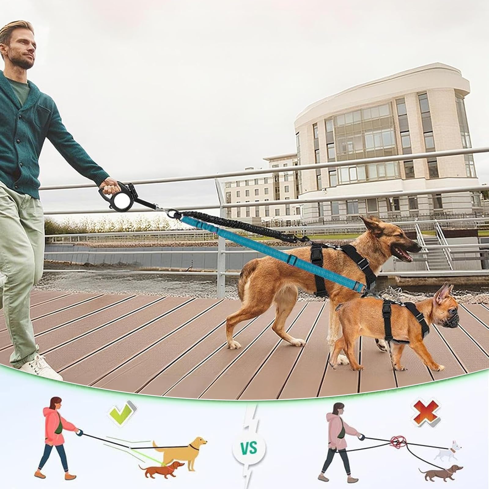 Podwójna smycz dla psa, podwójna smycz dla dwóch psów, bez plątania, obracany o 360°, z regulowanym paskiem i amortyzującym wstrząsy, bungee, na spacery i treningi, dla małych i dużych psów (niebieska