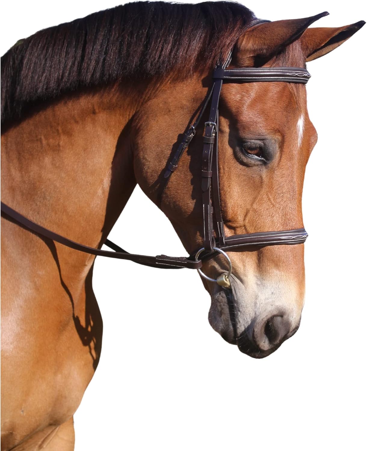 Tack Shack of Ocala Shires Avignon Nashville Bridle