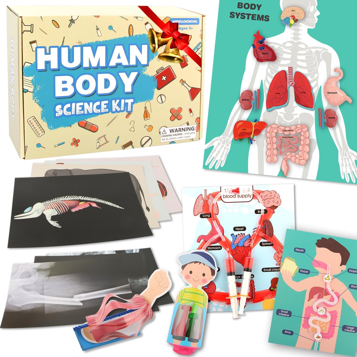 Human Body Activities & Experiments Science Kit for Kids,Human Anatomy Body Parts with Broken Bones X Ray,Lung Breathing Model, Vessels, Digestive System,Muscles Model,Skeleton,Human Organ STEM 5+