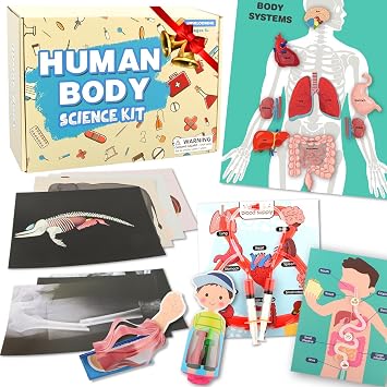 Human Body Activities & Experiments Science Kit for Kids,Human Anatomy Body Parts with Broken Bones X Ray,Lung Breathing Model, Vessels, Digestive System,Muscles Model,Skeleton,Human Organ STEM 5+