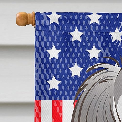 Vista 200 de Caroline's Treasures BB2171GF American Flag and Border Collie Garden Flag Mailbox Flag Decorative Yard Flag Banner Outside Patio Artwork Yard Flower