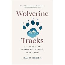 Wolverine Tracks On the Trail of Memory and Meaning in the Wild