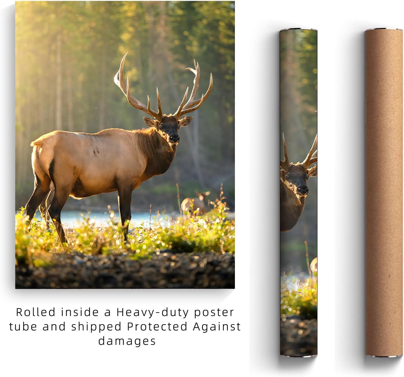 Canvas Prints With Your Photos, Custom Poster On Canvas (Unframed 40x60) Transform Your Photos Into Stunning Framed Wall Art Digitally Printed Photo To Canvas Ideal For Home Decor Gifts Keepsakes