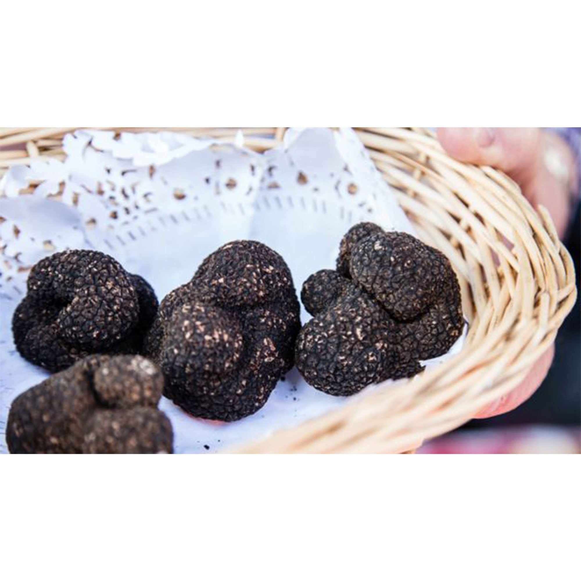 Carpaccio di Tartufo Estivo Fresco, Tartufo Nero Estivo 70% a Fette Confezionato In Olio Extravergine d'oliva, Tuber aestivum Vitt, Utilizzato nei ristoranti e da cuochi Professionisti 60g (2 x 45g)