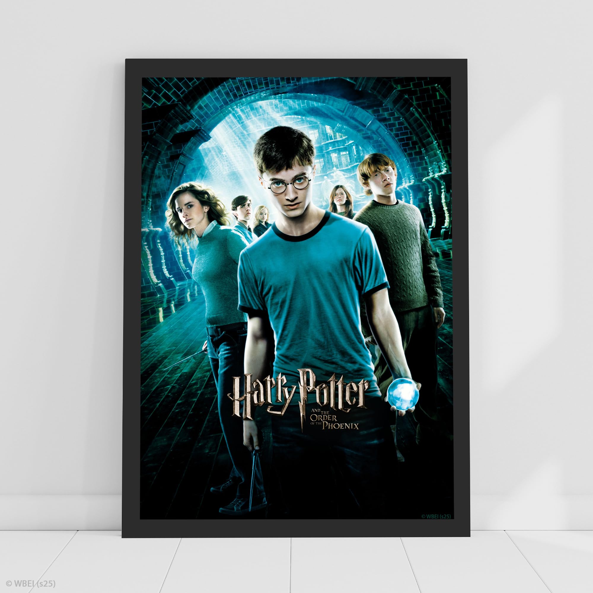 Harry Potter Print - Harry Potter and The Order of The Phoenix Movie Poster Wall Art (21cm x 29.7cm - A4)