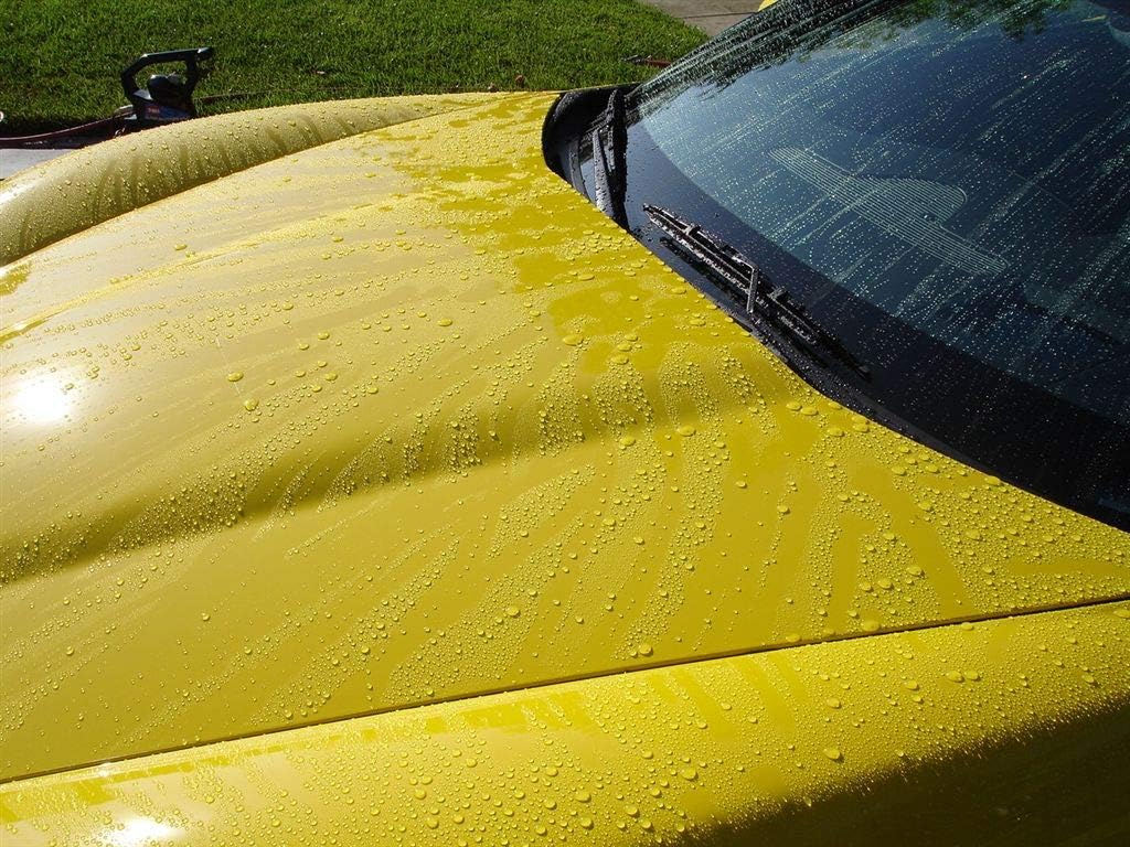 Corrosion Technologies RejeX 61002 (16 fl oz) – High Gloss Finish That Protects | for All Vehicles | Synthetic Paint and Surface Sealant | Lasts 2X Longer Than Any Wax | Nothing Sticks But The Shine!