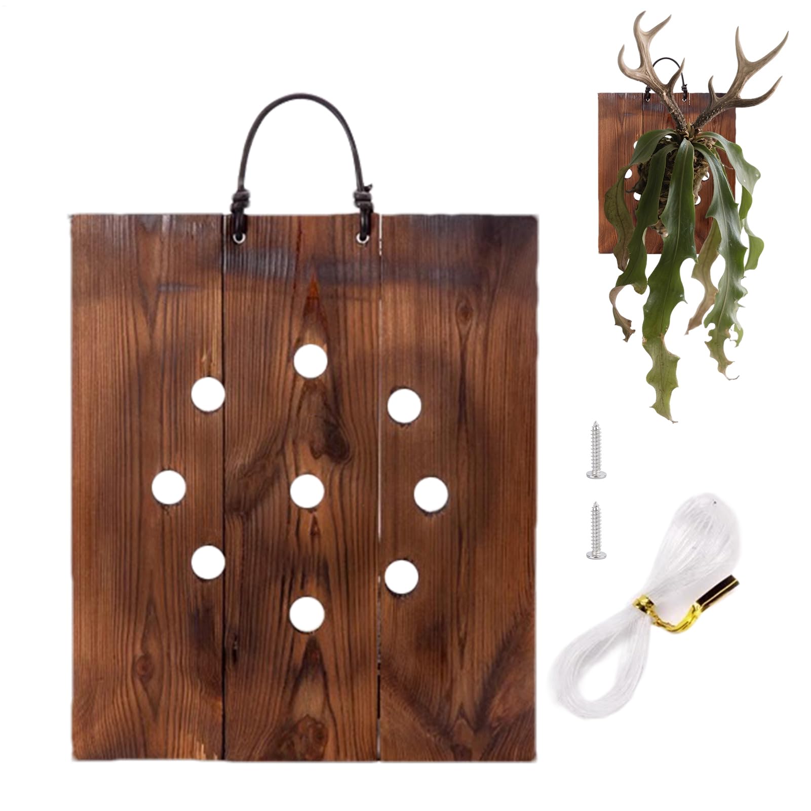 Jardinière murale anti-encombrement pour fougère en bois de cerf